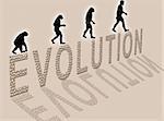 Illustration  about man’s evolution and a writing made of little stones