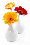 Three vases with gerbera flowers isolated on white background as interior design element