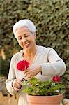 senior lady pruning her plants