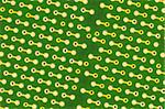 a close up of green circuit plate