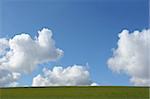 Cumulus clouds in a blue sky above a green field.