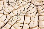 Close up of cracked ground in the desert
