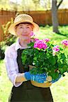 Senior woman holding a pot with flowers in her garden, shallow dof, focus on flowers