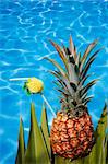 Pineapple cocktail on foliage by a bright pool