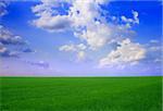 landscape with green field and blue cloudy sky