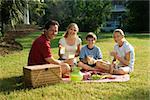 Caucasian family of four having picnic in park.