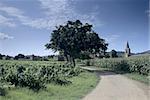 road through farmland parnac lot valley midi pyrenees near cahors france europe