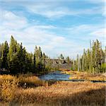 Landscape with stream and field in Yellowstone National Park, Wyoming.