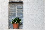 Window of an old abandoned Greek house decorated with a plant pot