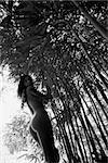 Nude young adult woman looking over shoulder standing in bamboo forest wearing lei.