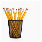 Group of pencils in a pencil holder with eraser ends up.