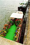 Charming houseboats with flowers docked on Seine in Paris France