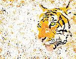 Vector illustration of a tiger's head with grunge