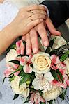 newlyweds hands with gold rings on fingers above flowers