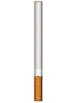 Realistic vector illustration of one cigarette standing