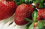 strawberry fruitstrawberry fruit