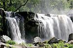 waterfall in the wild forest