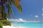tropical maldivian beach with turquoise water, coconut palms and coral sand