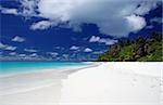 beautiful tropical beach with white sand and turquoise ocean