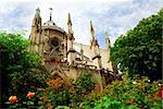 Notre Dame de Paris, garden view with blooming roses
