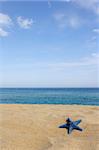 blue starfish on empty beach, corsica, france, mediterranean