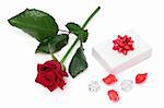 Red rose and a white gift box