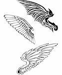 wings, vector illustration