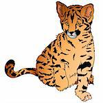 Leopard 1 - coloured cartoon illustration as vector - Sitting Leopard