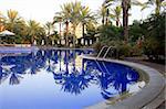 swiming pool at luxury village in spain with green palm