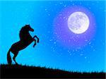 Black wild horse against a blue night