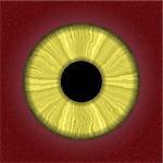 Illustration of eye with yellow iris