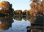 Beautiful Autumn Lake Scene with Dock