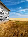 Exterior of weathered abandoned building with peeling paint in grasslands.