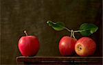 Red apples. Still life.