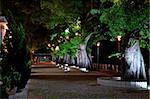 The night scene, growing trees beside a street