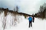 Skiing no a winter landscape