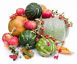 colorful pumpkins, apples, water melons on white background