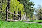 Spring park with cycling path