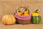 A yellow and green pumpkins in the basket, over burlap background. Shallow DOF