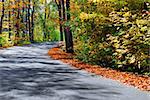 Curving road in a colorful fall forest