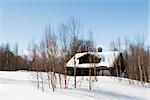 A cabin in the forest on a winter landscape.