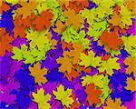 Multi Color Autum Background with colorful rainbow fall leaves