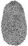 vector illustration of a fingerprint