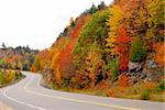 Fall highway in northern Ontario, Canada