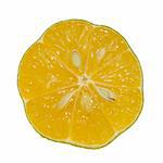A cross-sectional slice of citrus fruit over white.