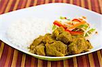 Caribbean style curried goat served with steamed rice. Dish accompanied with vegetable salad. Shallow DOF.