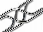 Two linked paperclips on a white background with shadow