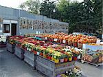 Farmers' market in Michigan, USA in the Fall. Similar to many of the Midwest ones. Flowers, corn, apples and pumpkins for the Halloween.