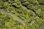 Aerial of winding scenic highway with trees in rural California, USA.