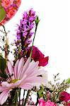 Bouquet of flowers on white background